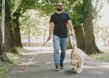 Negar el acceso a perros guía será considerado discriminación