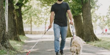 Negar el acceso a perros guía será considerado discriminación