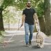 Negar el acceso a perros guía será considerado discriminación