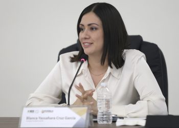 Encuestas internas de partidos no violan la ley electoral