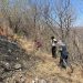 Incendio forestal en Jolalpan fue controlado y liquidado al 100%