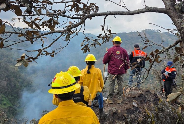 Aumenta 43.6% superficie afectada por incendios en Puebla