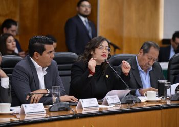 Propone Julieta Vences tipificar la cohabitación forzada como violencia