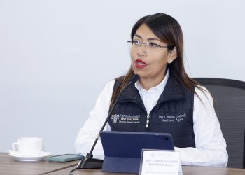 Iniciativa busca permitir viajes de menores sin autorización de un progenitor