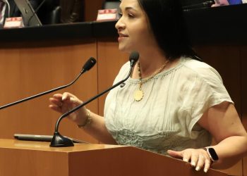 Liz Sánchez respaldó la reforma que pone fin a las pensiones doradas