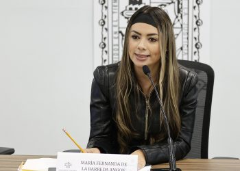 Pago de la pensión alimenticia para los hijos debe ser retroactiva, propone PVEM