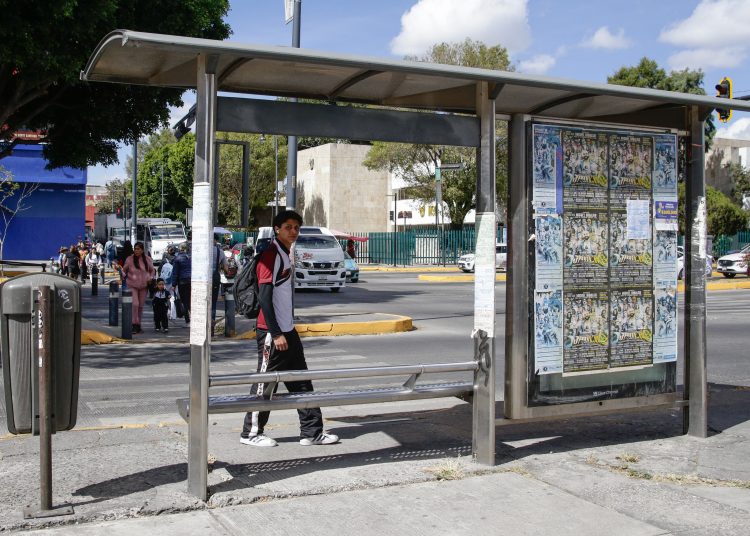 Se lanzará licitación para dar mantenimiento a paraderos con recursos propios: Pepe Chedraui