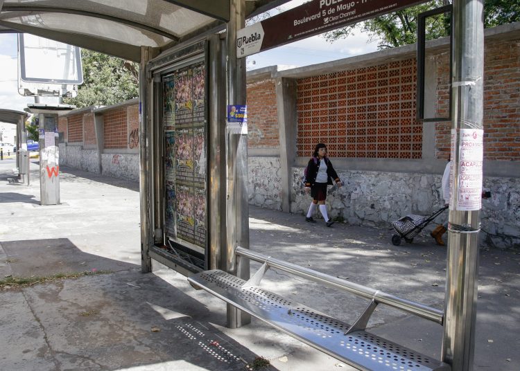 Gobierno de la Ciudad está en su derecho de licitar mantenimiento de paraderos