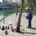 Patos y otras especies del Parque Ecológico gozan de buena salud