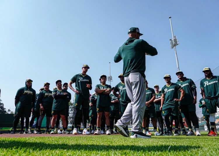 Pericos suma 5 días de pretemporada rumbo a la LMB 2026