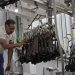 Rastro de Puebla, único que cumple con medidas sanitarias contra gusano barrenador