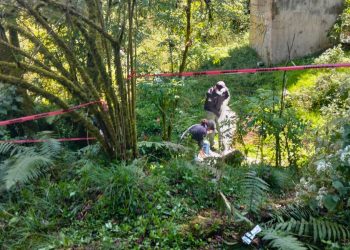 Localizan restos óseos durante acciones de búsqueda en Huauchinango