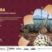 Mujeres mezcaleras realizarán verbena cultural por 8M