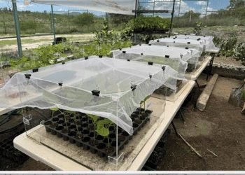 Investigadores de la BUAP proponen utilizar la física para proteger cultivos prioritarios