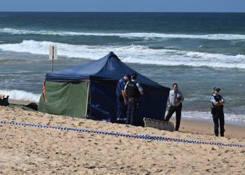 Cierran varias playas en Sídney por riesgo de ataques de tiburón