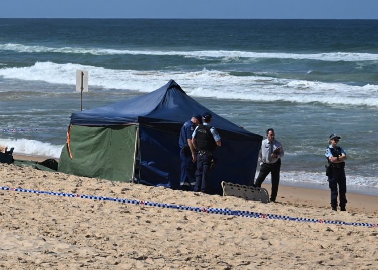 Cierran varias playas en Sídney por riesgo de ataques de tiburón