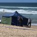 Cierran varias playas en Sídney por riesgo de ataques de tiburón