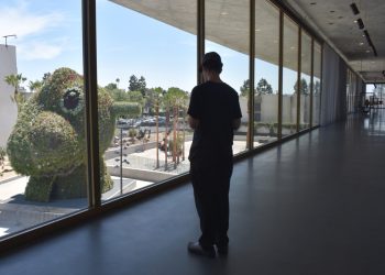LACMA inaugura galerías David Geffen sin jerarquía artística