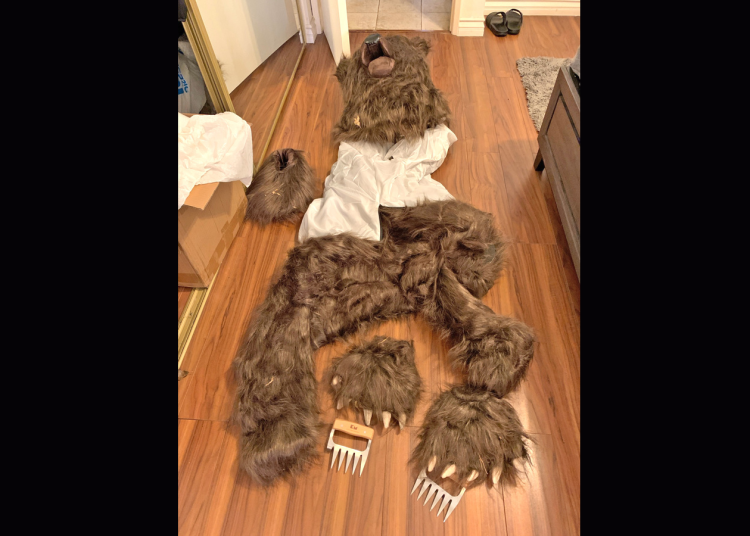 Tres acusados por simular ataques de un oso