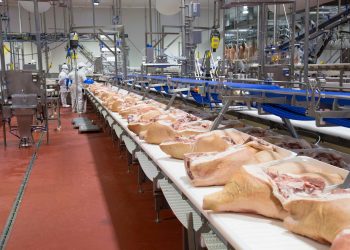 Suma atención en 19 estados y 3 países el rastro de Altosano-Carroll