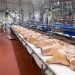 Suma atención en 19 estados y 3 países el rastro de Altosano-Carroll