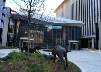 Museo de la National Geographic abrirá ventana a la exploración