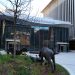 Museo de la National Geographic abrirá ventana a la exploración