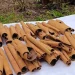 Bachilleres de Jalpan producen canela