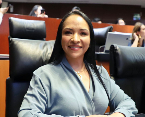 Impulsa Liz Sánchez homologación nacional del feminicidio