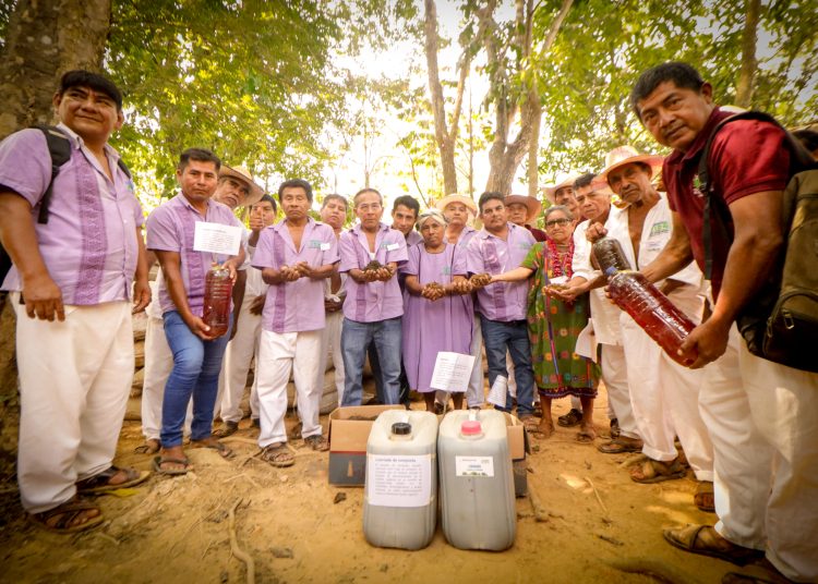 Impulsa Sembrando Vida producción de fertilizantes con 16.7 mil biofábricas para la agricultura campesina