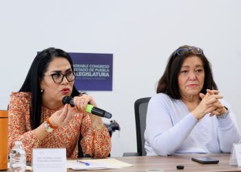 Pepe Chedraui debe explicar crédito de 440 mdp en el Congreso