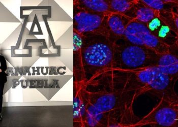 Investigadora de Anáhuac Puebla participa en certamen internacional de microscopía en España