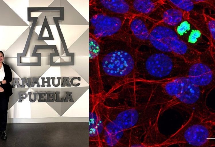 Investigadora de Anáhuac Puebla participa en certamen internacional de microscopía en España