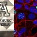 Investigadora de Anáhuac Puebla participa en certamen internacional de microscopía en España