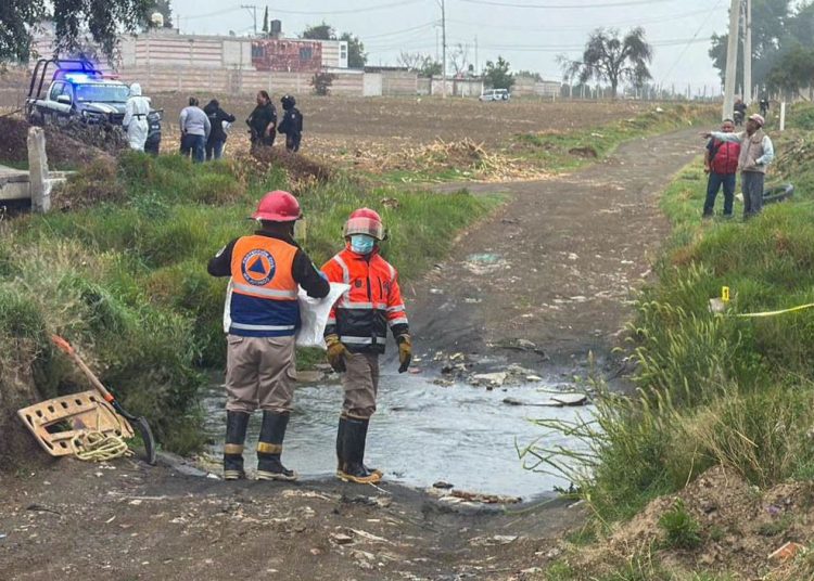 Huejotzingo condena crueldad animal