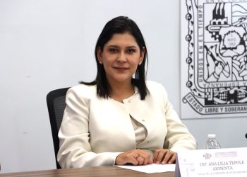 Comisión aprueba protocolos contra violencia vicaria