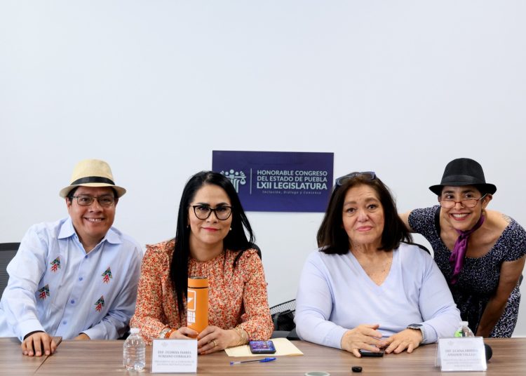 Puebla impulsa ley sobre lupus; anuncian caminata el 17 de mayo