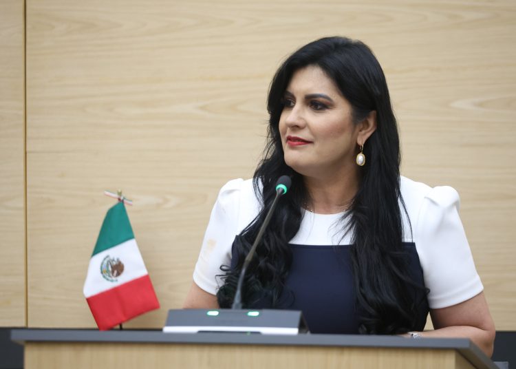 Delfina Pozos presenta iniciativa para garantizar servicios de salud en emergencias médicas