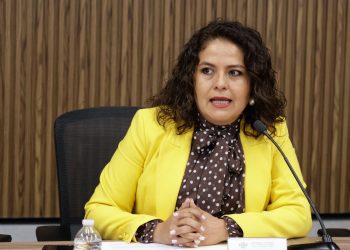 Proponen iniciativa para impulsar el uso de lenguas indígenas en avisos públicos