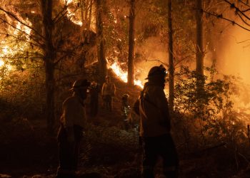 Crece un incendio forestal en Florida y obliga a evacuaciones masivas