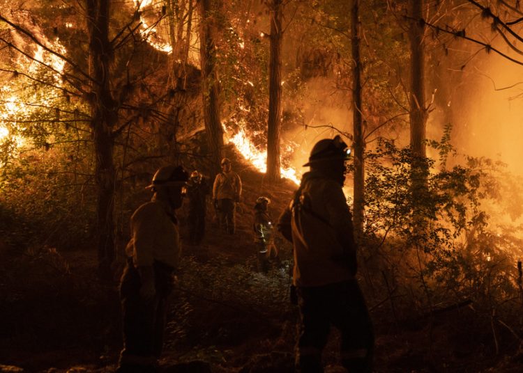 Crece un incendio forestal en Florida y obliga a evacuaciones masivas