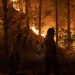 Crece un incendio forestal en Florida y obliga a evacuaciones masivas