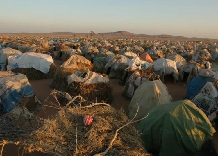 Unicef: Los niños vuelven a ser las mayores víctimas de la nueva guerra en Darfur