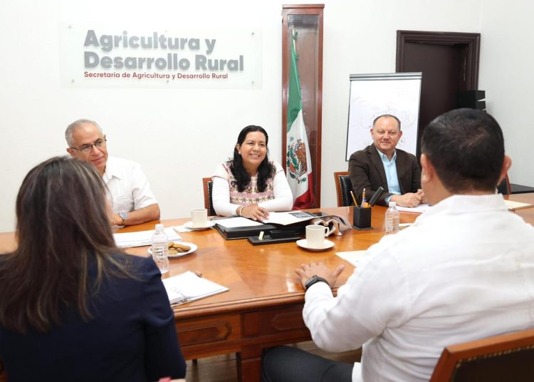 Evaluación estratégica impulsa financiamiento y tecnología para el campo poblano