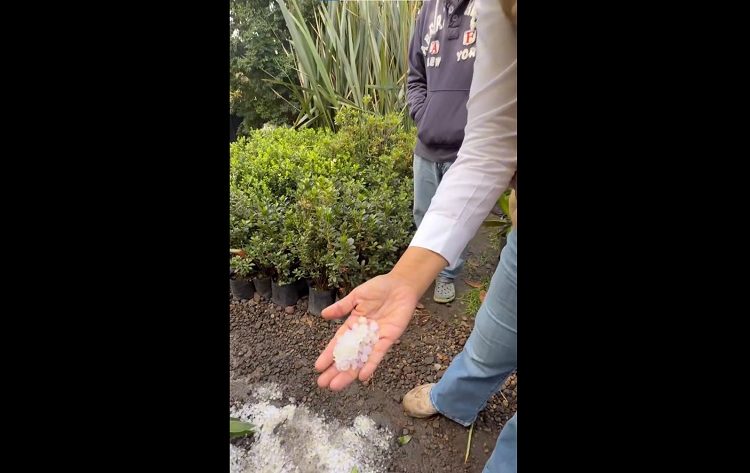 Granizada daña 200 unidades de cultivo en Atlixco