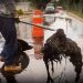 Fortalece Tonantzin Fernández acciones interinstitucionales para prevenir inundaciones