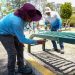 Fortalece Gobierno de Pepe Chedraui mantenimiento de mobiliario urbano