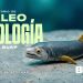 Laboratorio de Paleobiología de la BUAP, evidencia de vida del pasado
