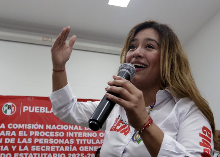 Xitlalic Ceja alista iniciativa para impedir que agresores participen en procesos electorales
