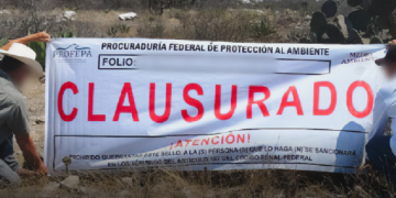 Profepa clausura obras ilegales en reserva Tehuacán-Cuicatlán